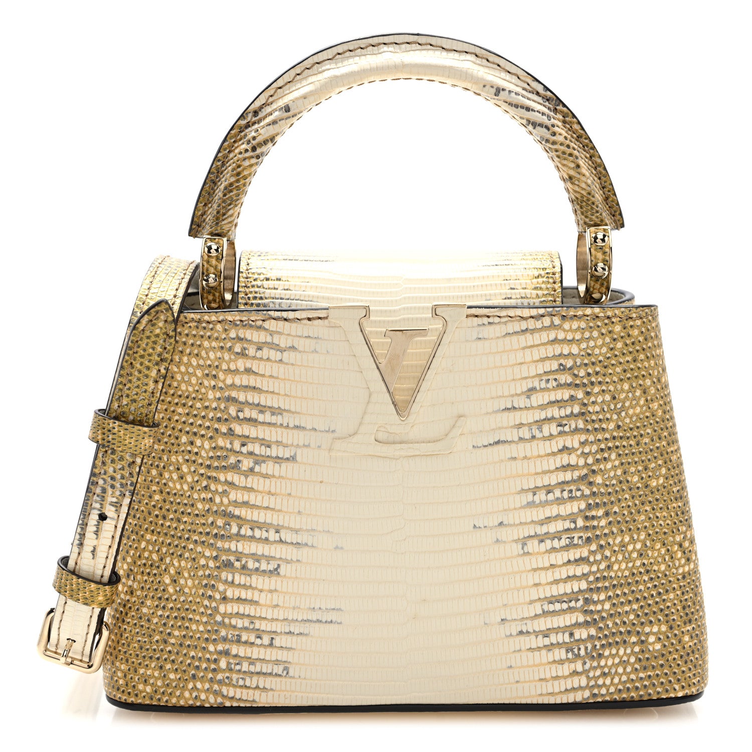 Louis Vuitton Lizard Ombre Capucines Mini Natural 7 of 9