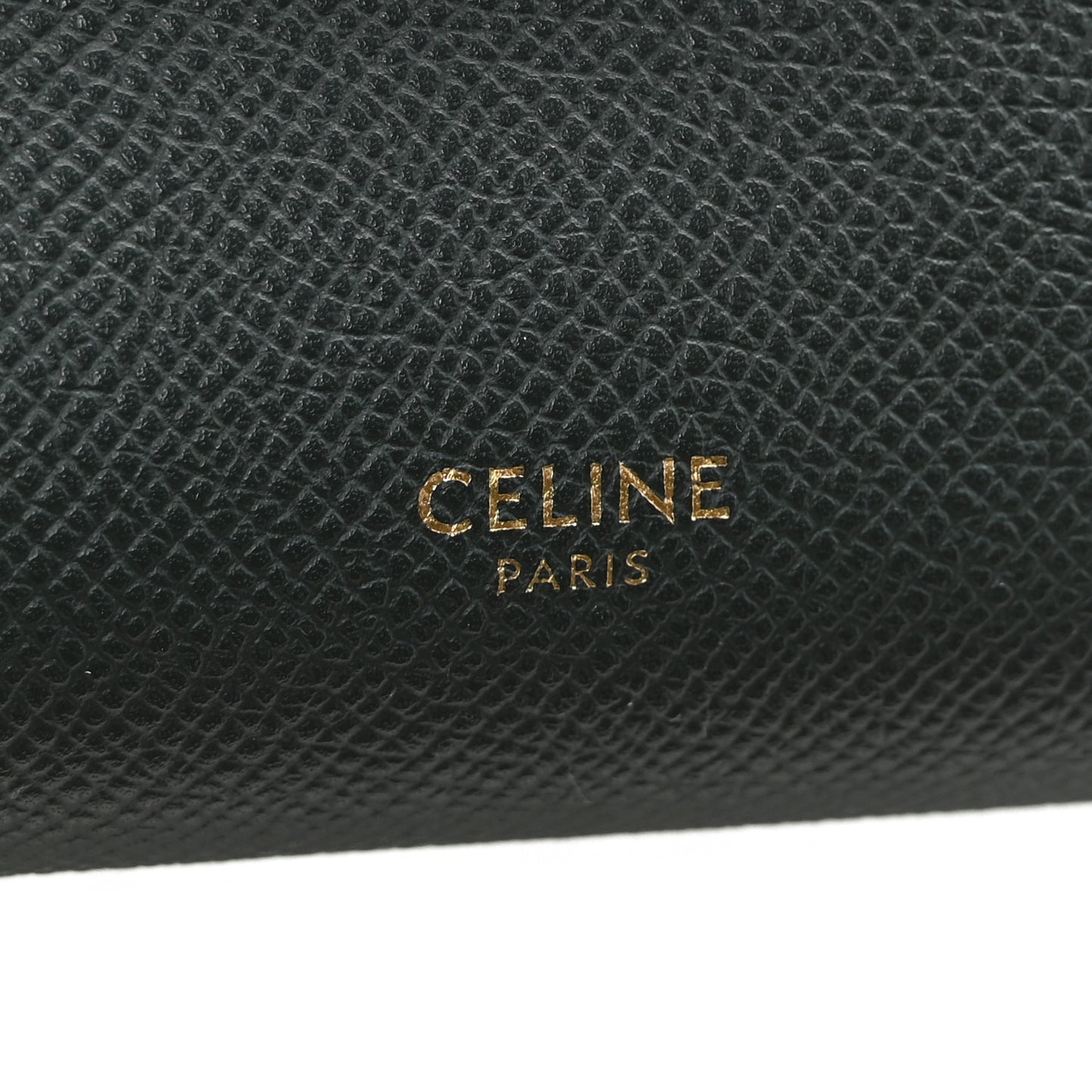 Grained Calfskin Nano Belt Bag Amazone