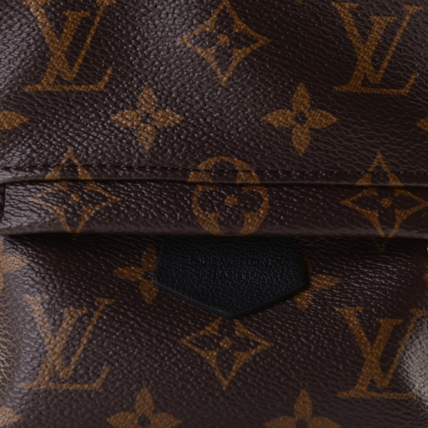 Monogram Palm Springs Backpack Mini