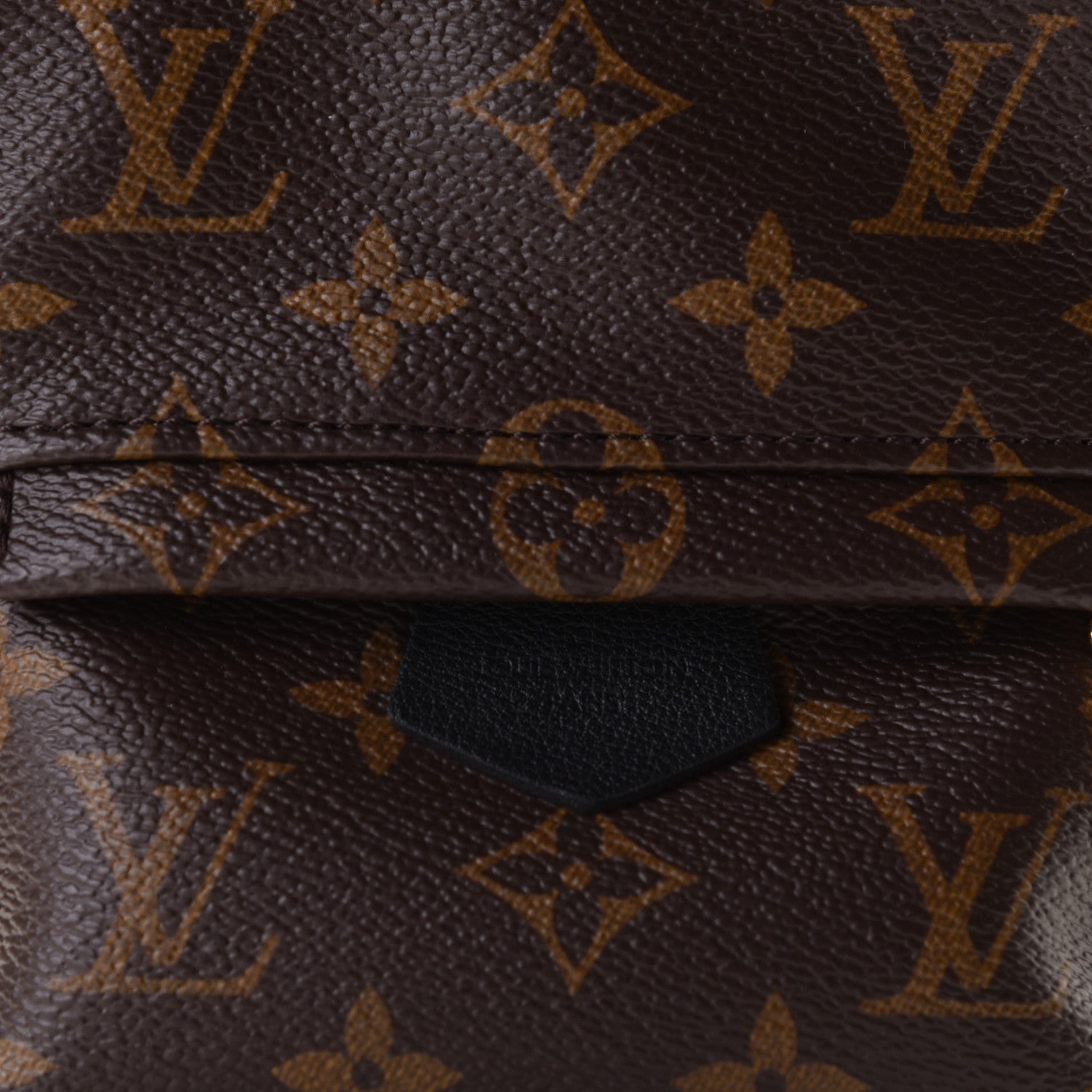 Louis Vuitton Monogram Palm Springs Backpack Mini 5 of 12