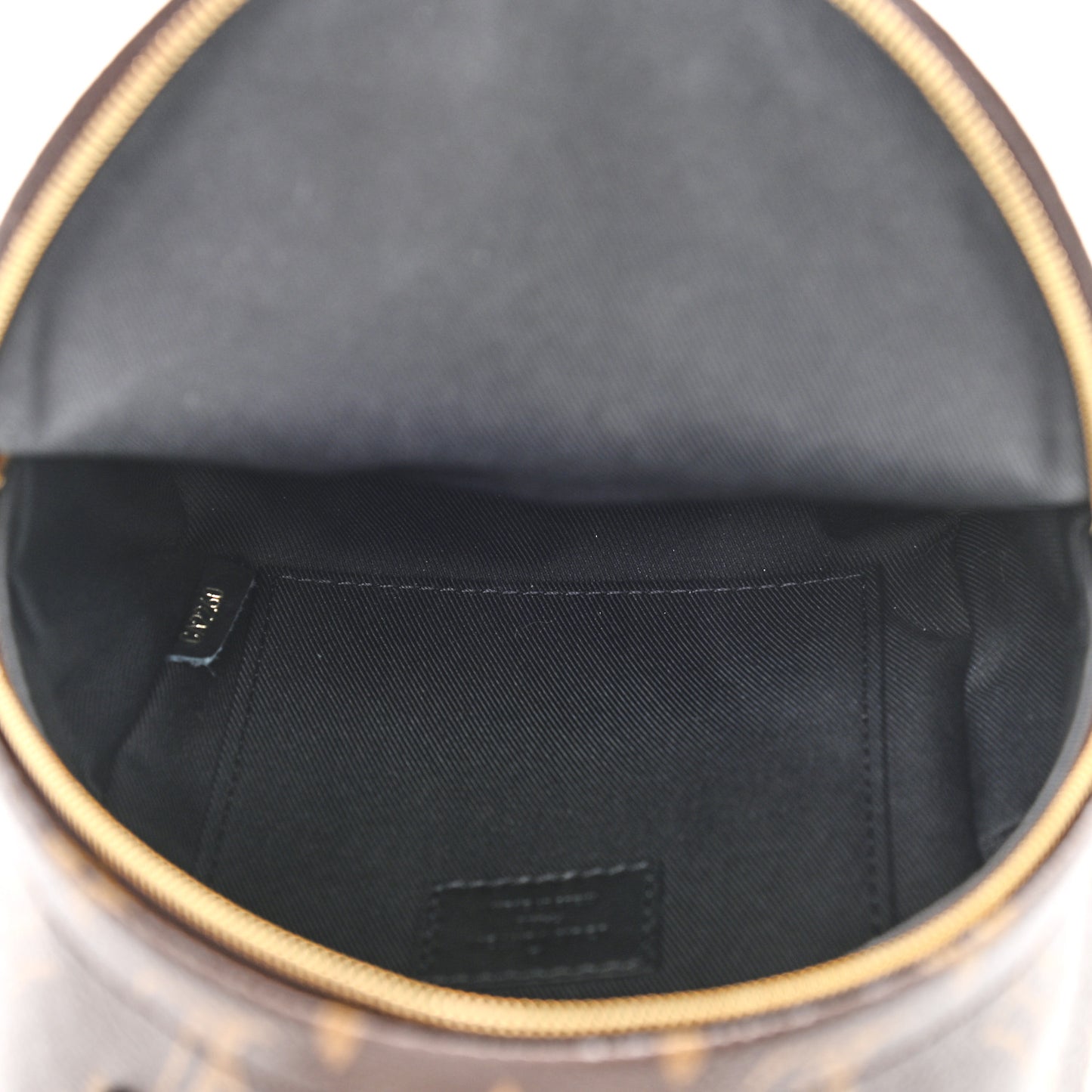 Monogram Palm Springs Backpack Mini