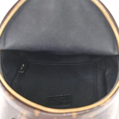 Louis Vuitton Monogram Palm Springs Backpack Mini 5 of 9