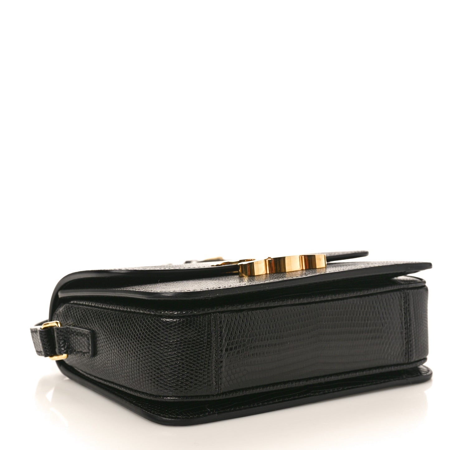 Lizard Teen Triomphe Black