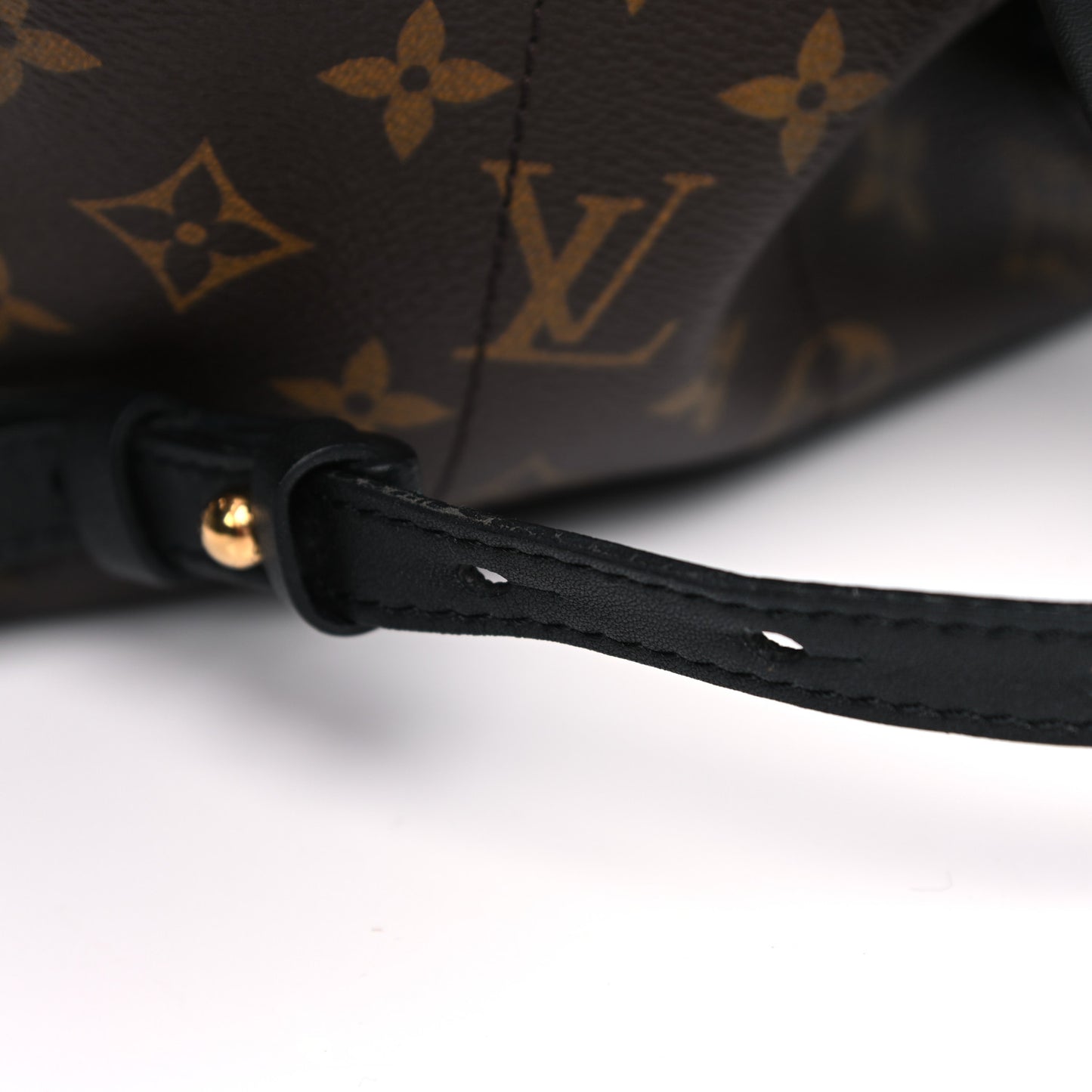 Monogram Palm Springs Backpack PM