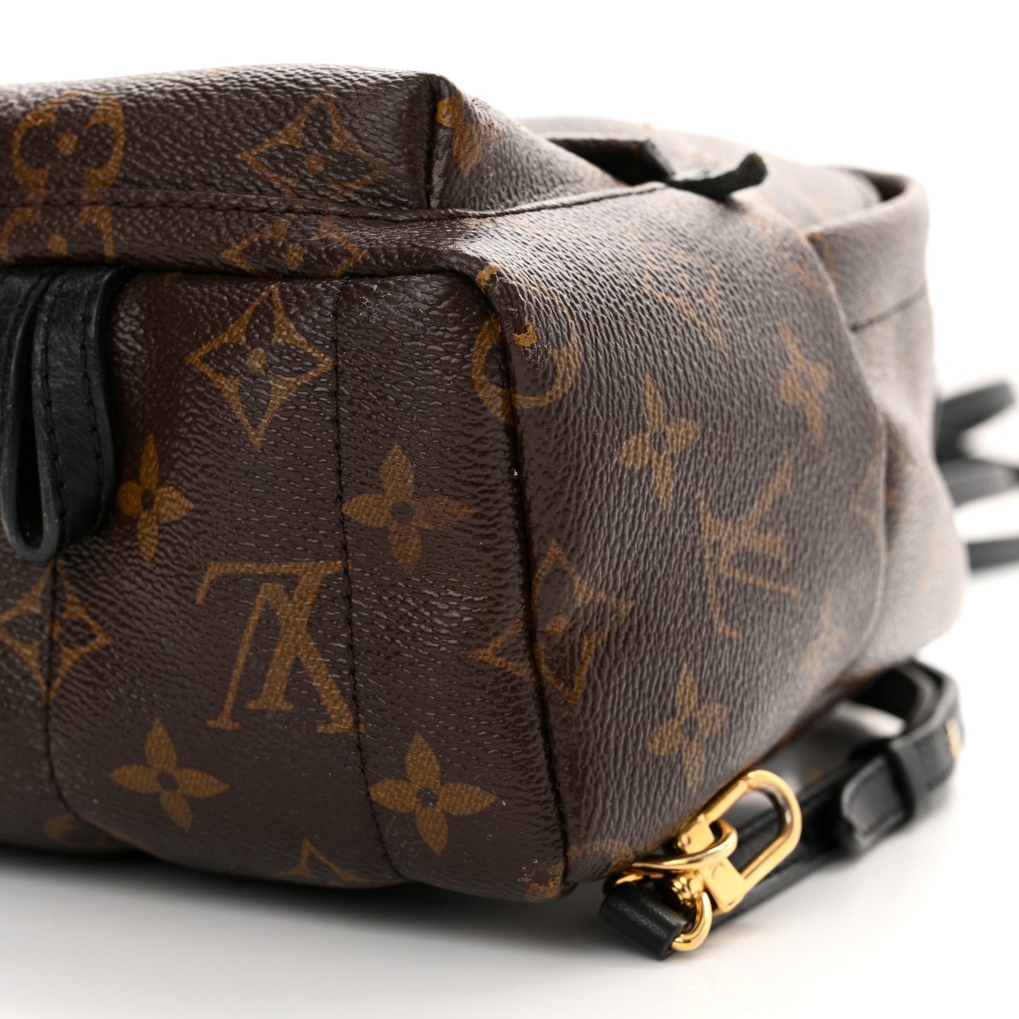 Monogram Palm Springs Backpack Mini