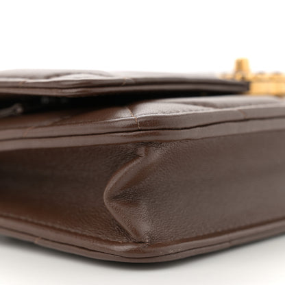 Chanel Lambskin Quilted Chanel 19 Wallet On Chain WOC Brown 9 of 12