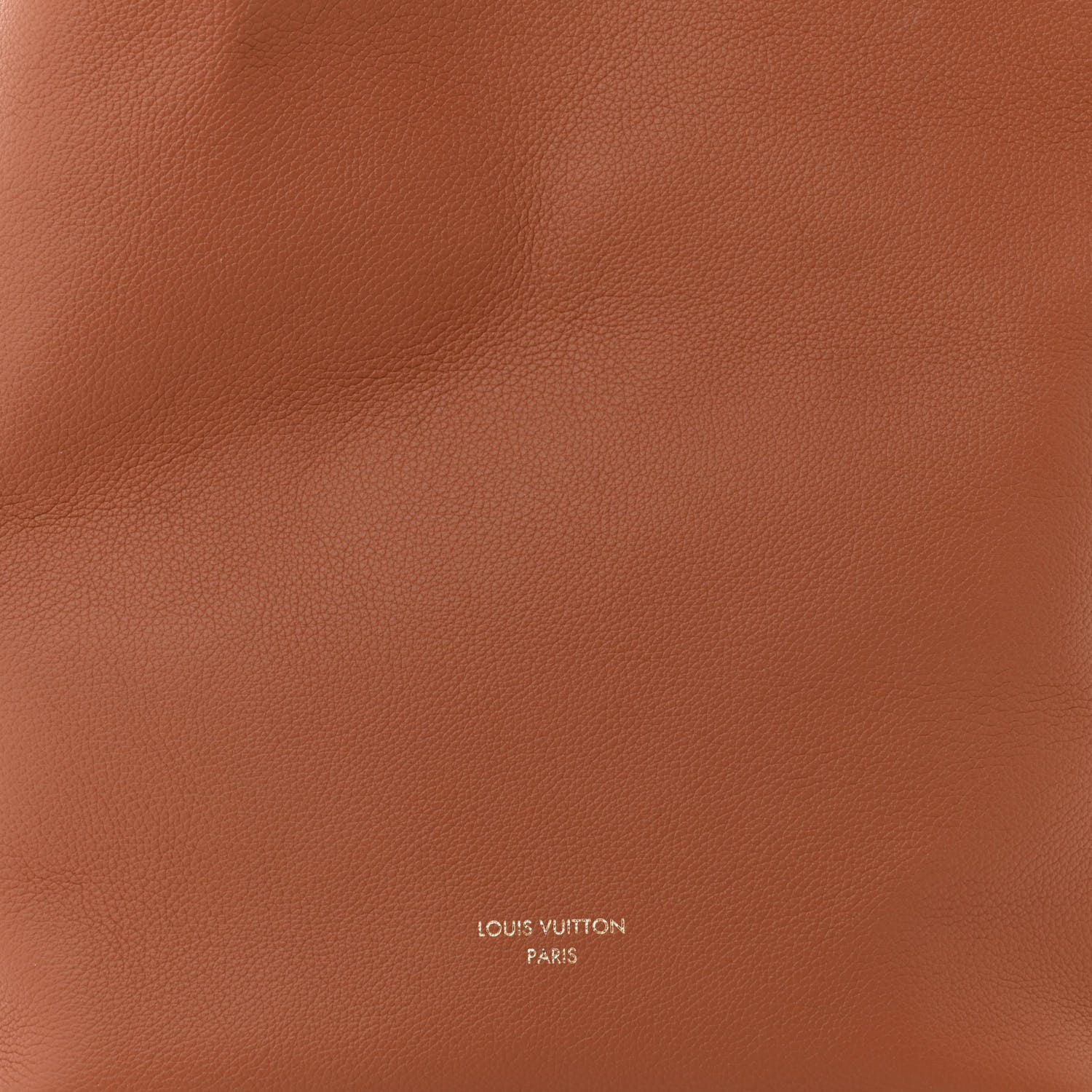 Louis Vuitton LOUIS VUITTON Grained Calfskin Low Key Hobo MM Cognac 7 of 9