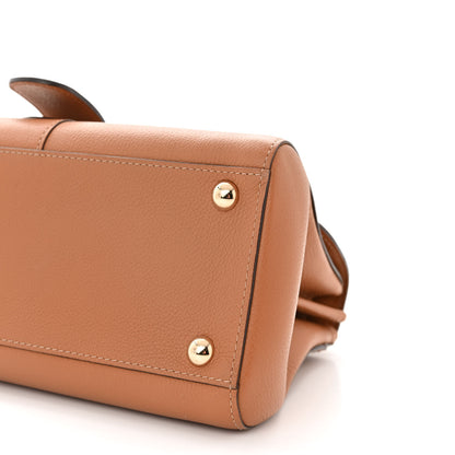 Delvaux Calfskin Mini Brillant East West Satchel Natural 11 of 12