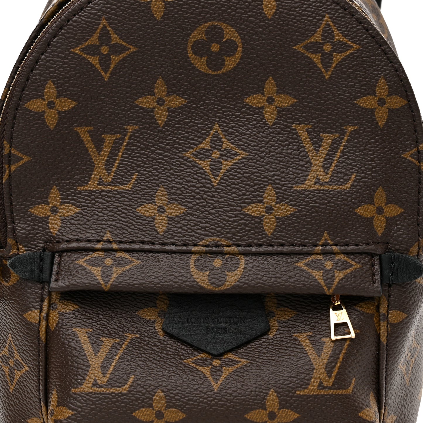 Monogram Palm Springs Backpack Mini