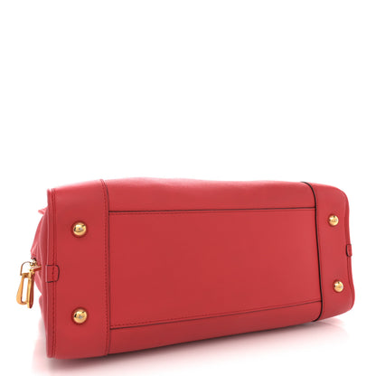 Loewe Calfskin Amazona 36 Red 4 of 15