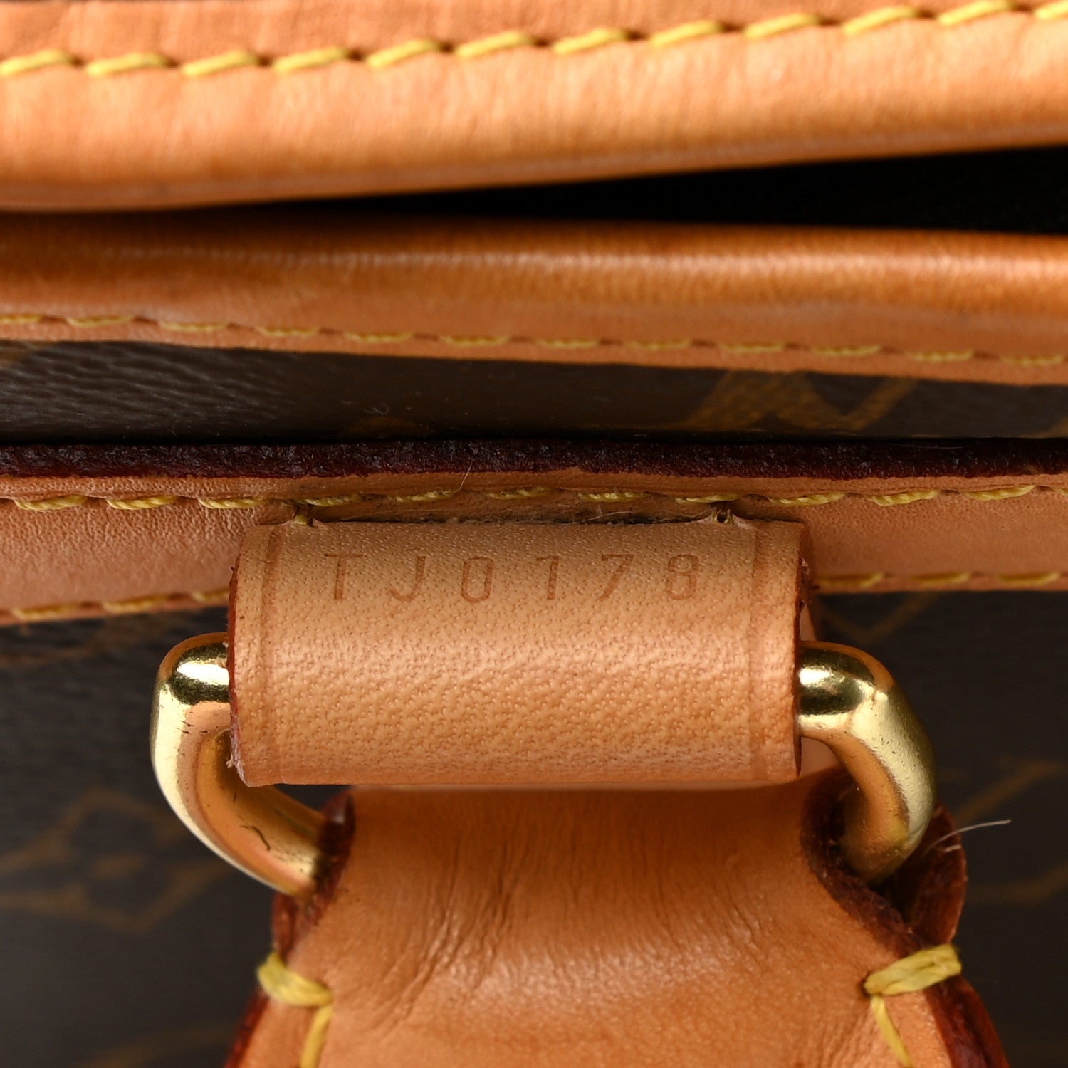 Louis Vuitton Monogram Sac Chien 40 Pet Carrier 7 of 18