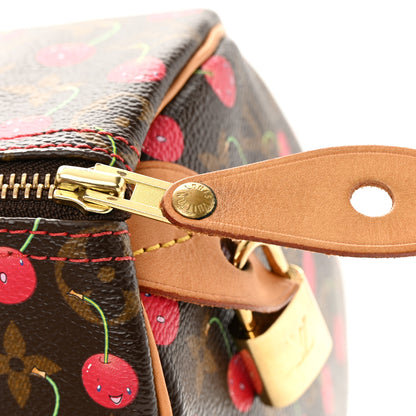 Louis Vuitton Monogram Cerises Speedy 25 18 of 18
