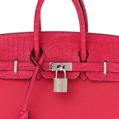 Hermes Togo Matte Alligator Birkin Touch 25 Framboise 8 of 11