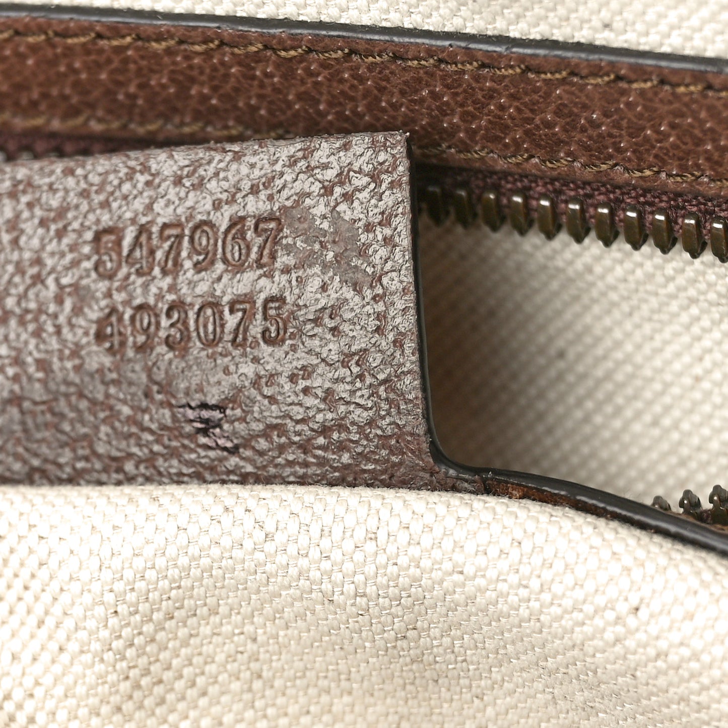GG Supreme Monogram Medium Ophidia Day Backpack Brown