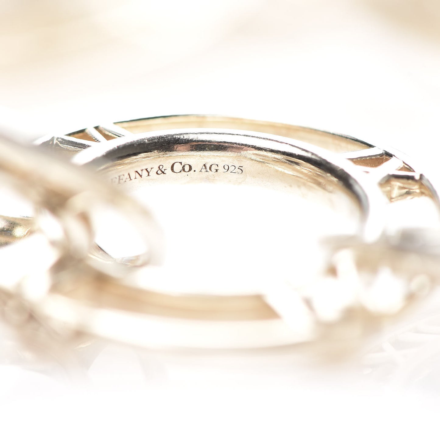 Sterling Silver Atlas Link Necklace