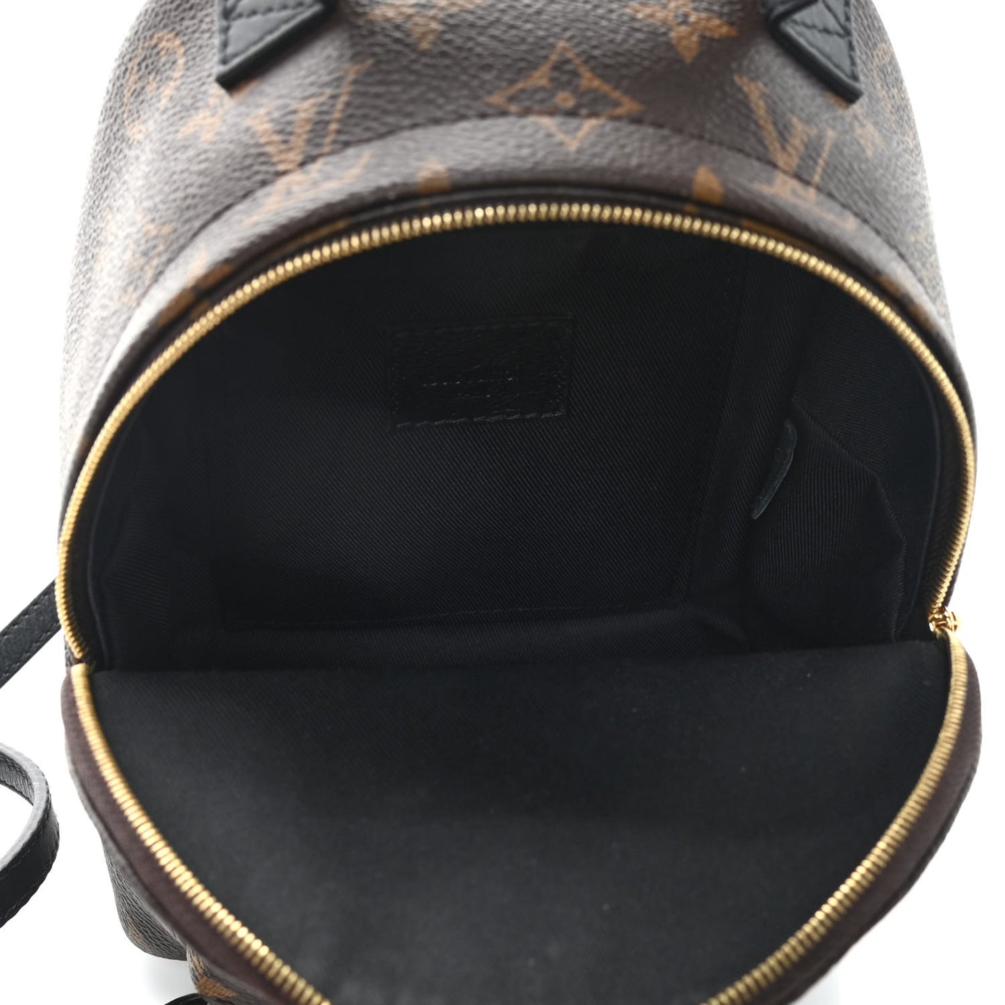 Monogram Palm Springs Backpack Mini