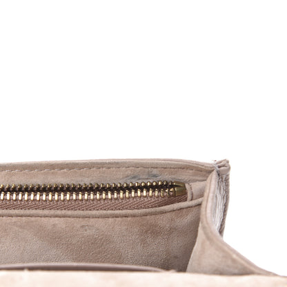 Christian Dior Grained Calfskin Diorama Wallet on Chain Pouch Nude 10 of 12