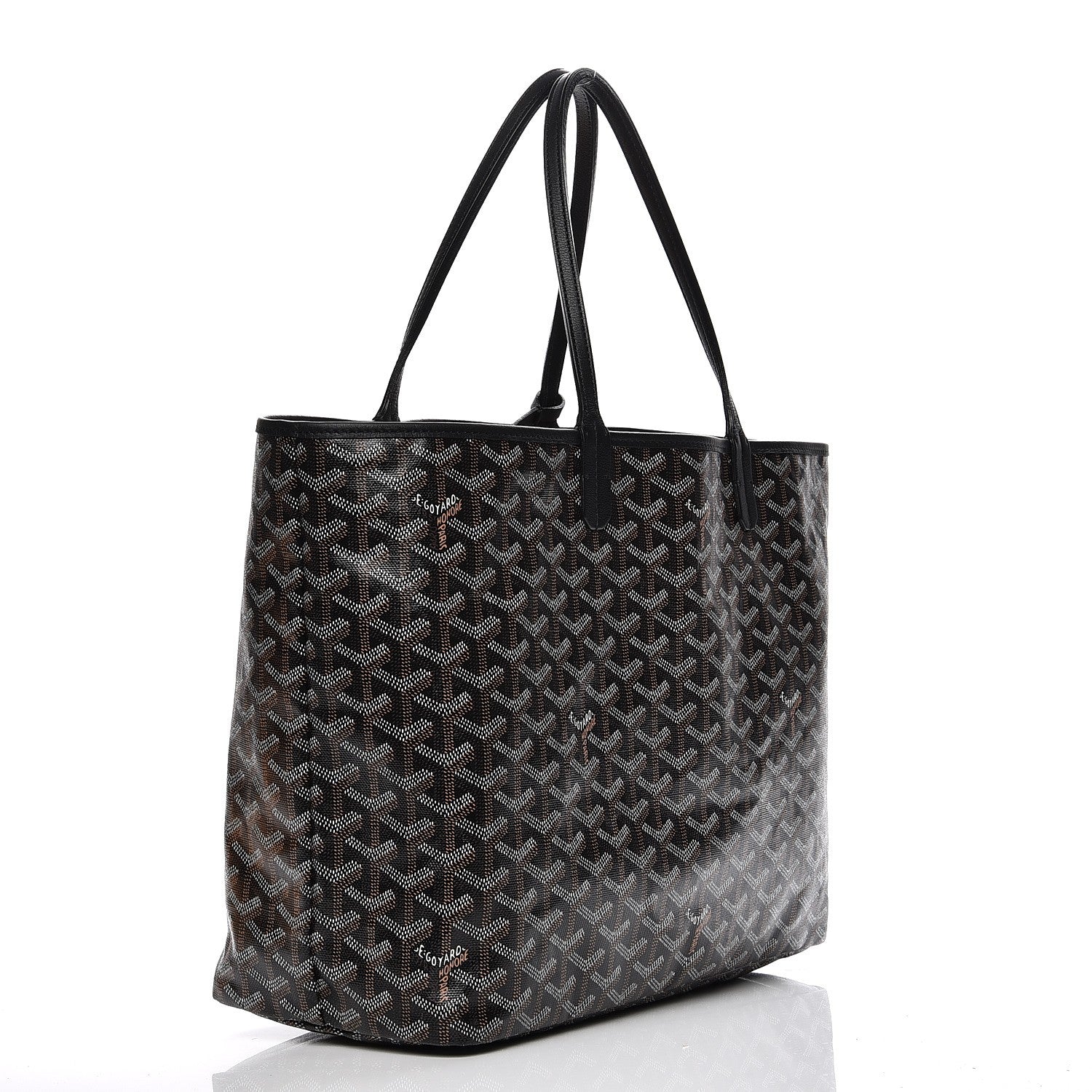 Goyard Goyardine Saint Louis PM Black 4 of 9