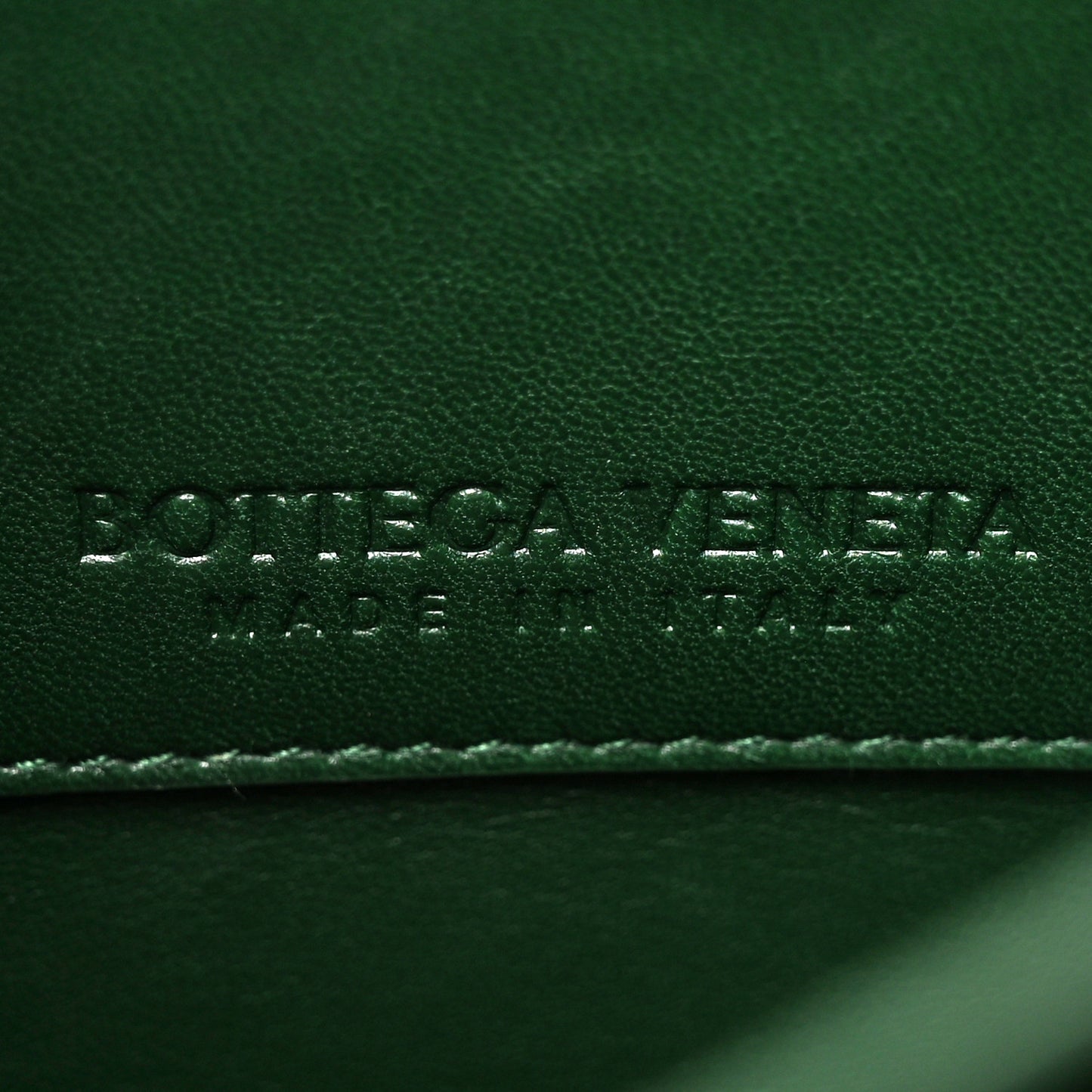 Calfskin Mount Envelope Bag Green