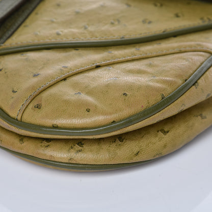 Christian Dior Ostrich Double Saddle Bag Green 12 of 15