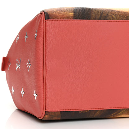 Louis Vuitton Masters Da Vinci Speedy 30 12 of 14