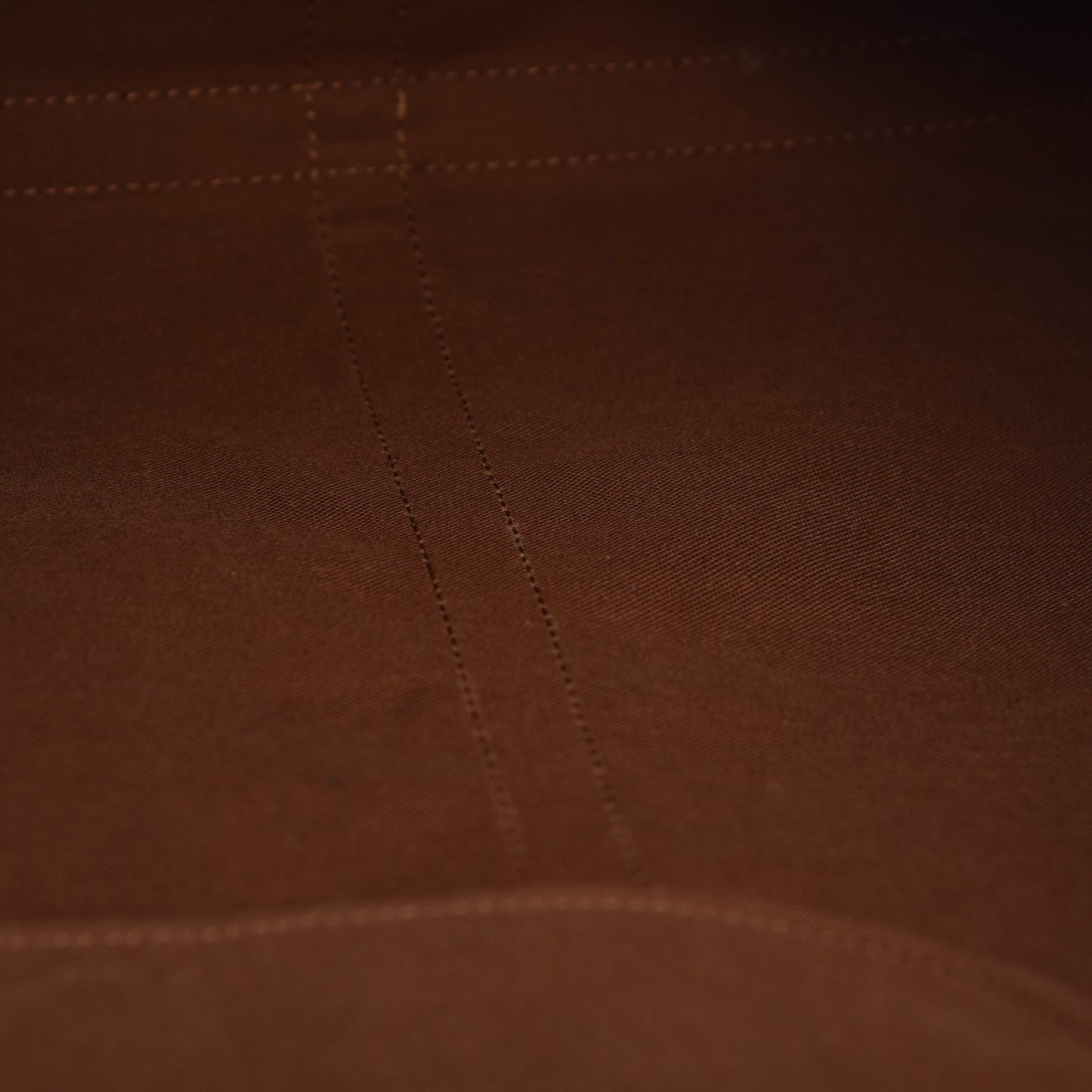 Monogram Sac Flanerie 50