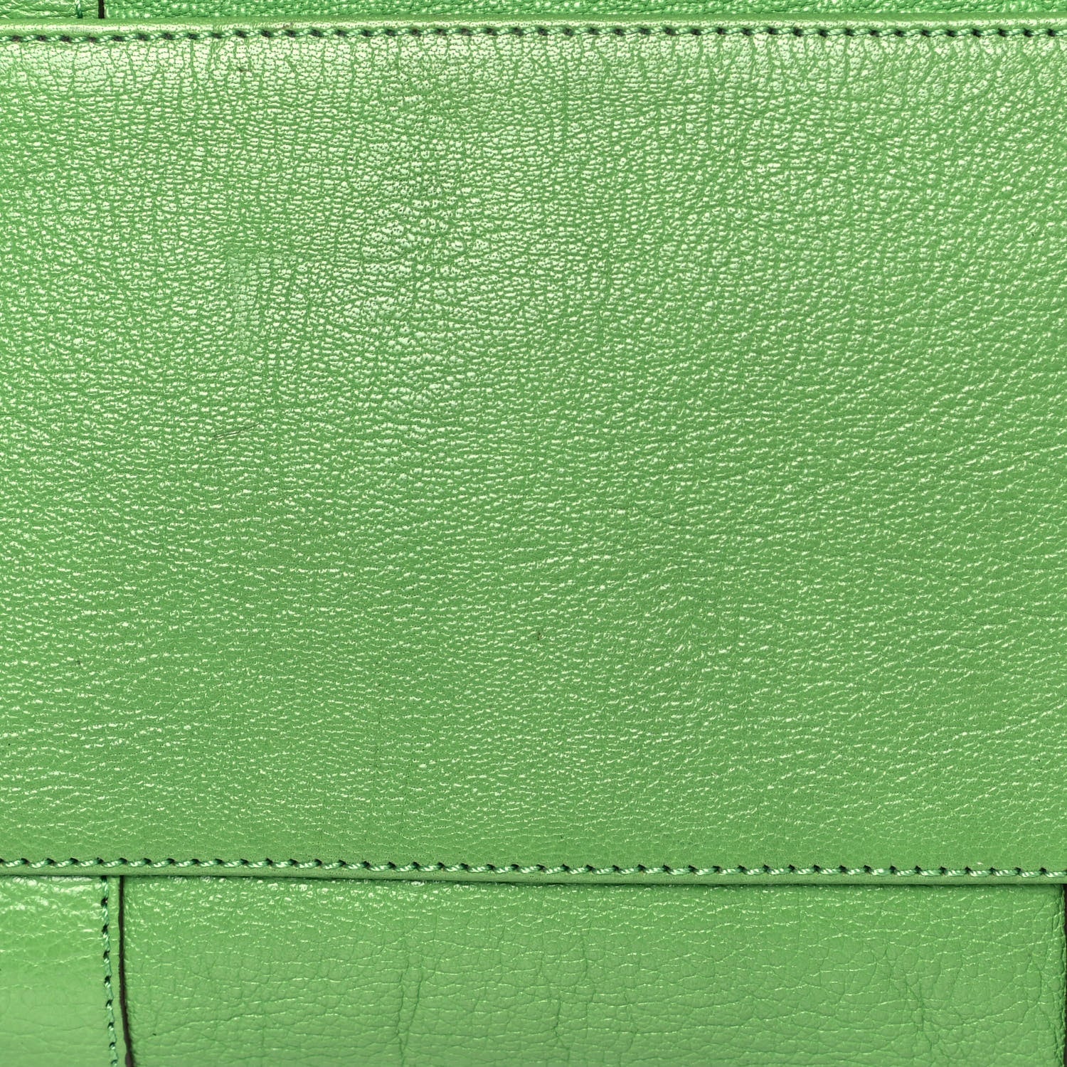 Mulberry Goatskin Bayswater Grass Green 16 of 16