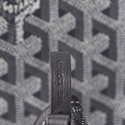 Goyard Goyardine Saint Louis PM Grey 7 of 10