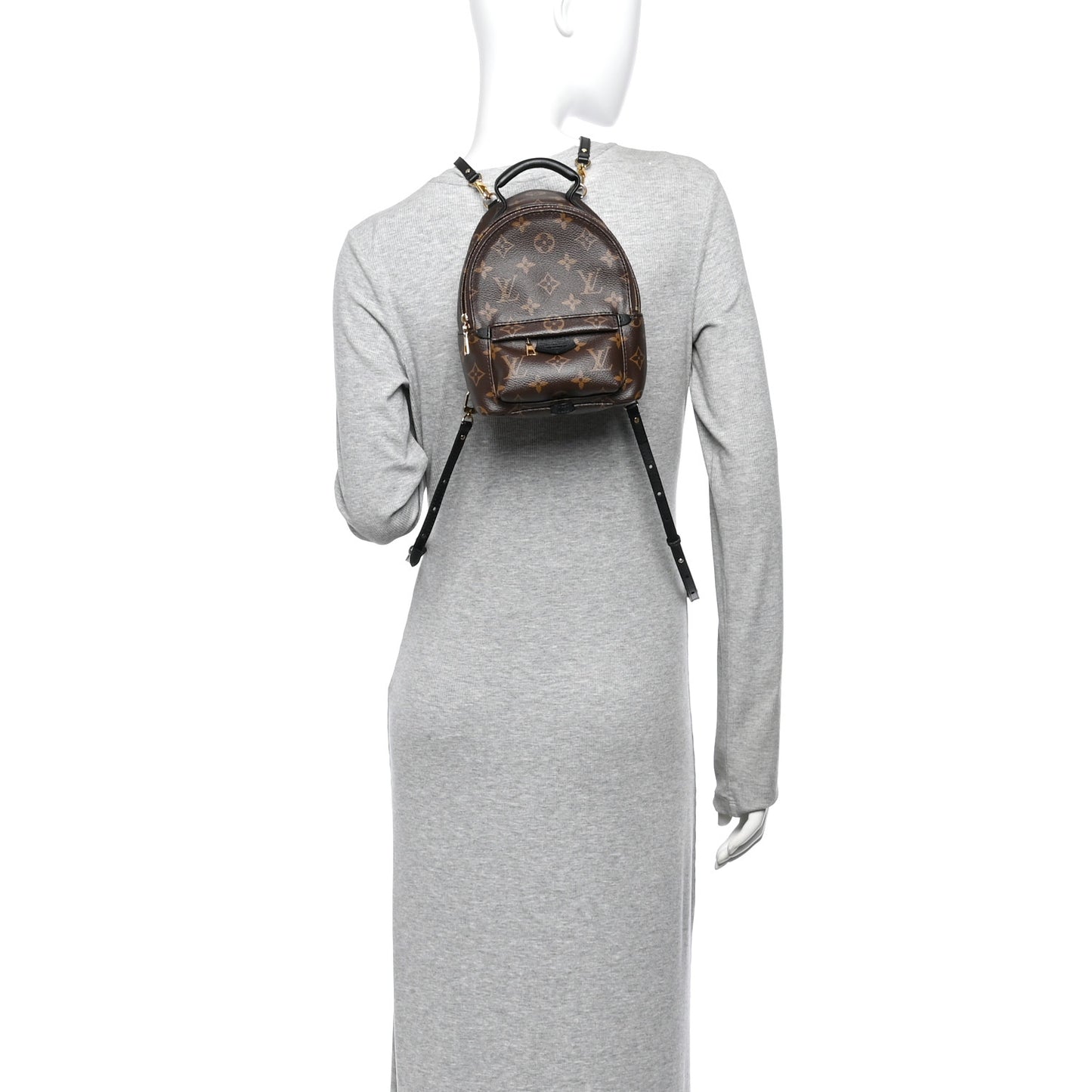 Monogram Palm Springs Backpack Mini
