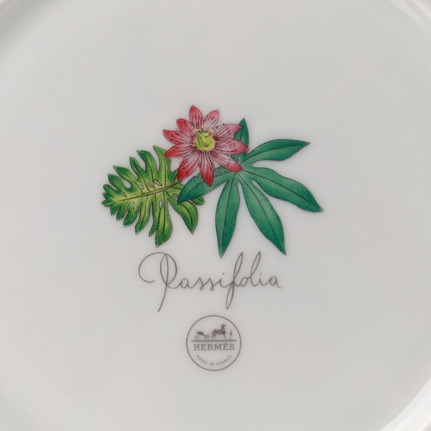 Porcelain Passifolia Dessert Plate N°1 Set of 2