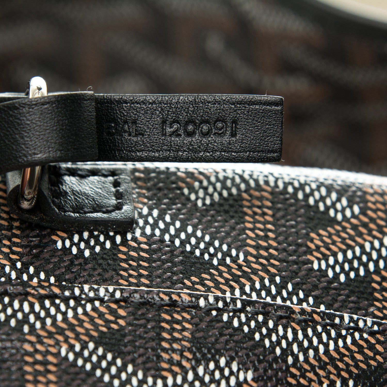 Goyard Goyardine Saint Louis PM Black 9 of 10