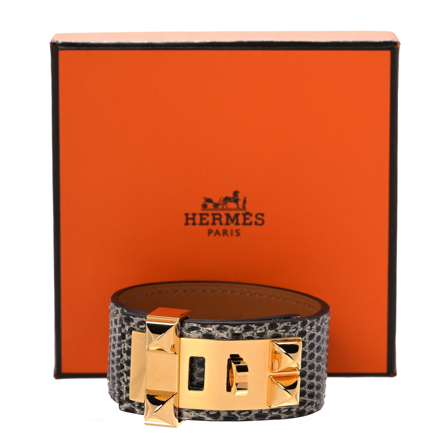 Lizard Collier De Chien CDC 24 Bracelet T2 Ombre