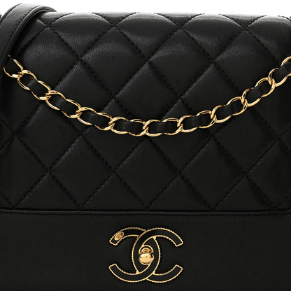 Chanel Sheepskin Quilted Vintage Mademoiselle Flap Black 8 of 13