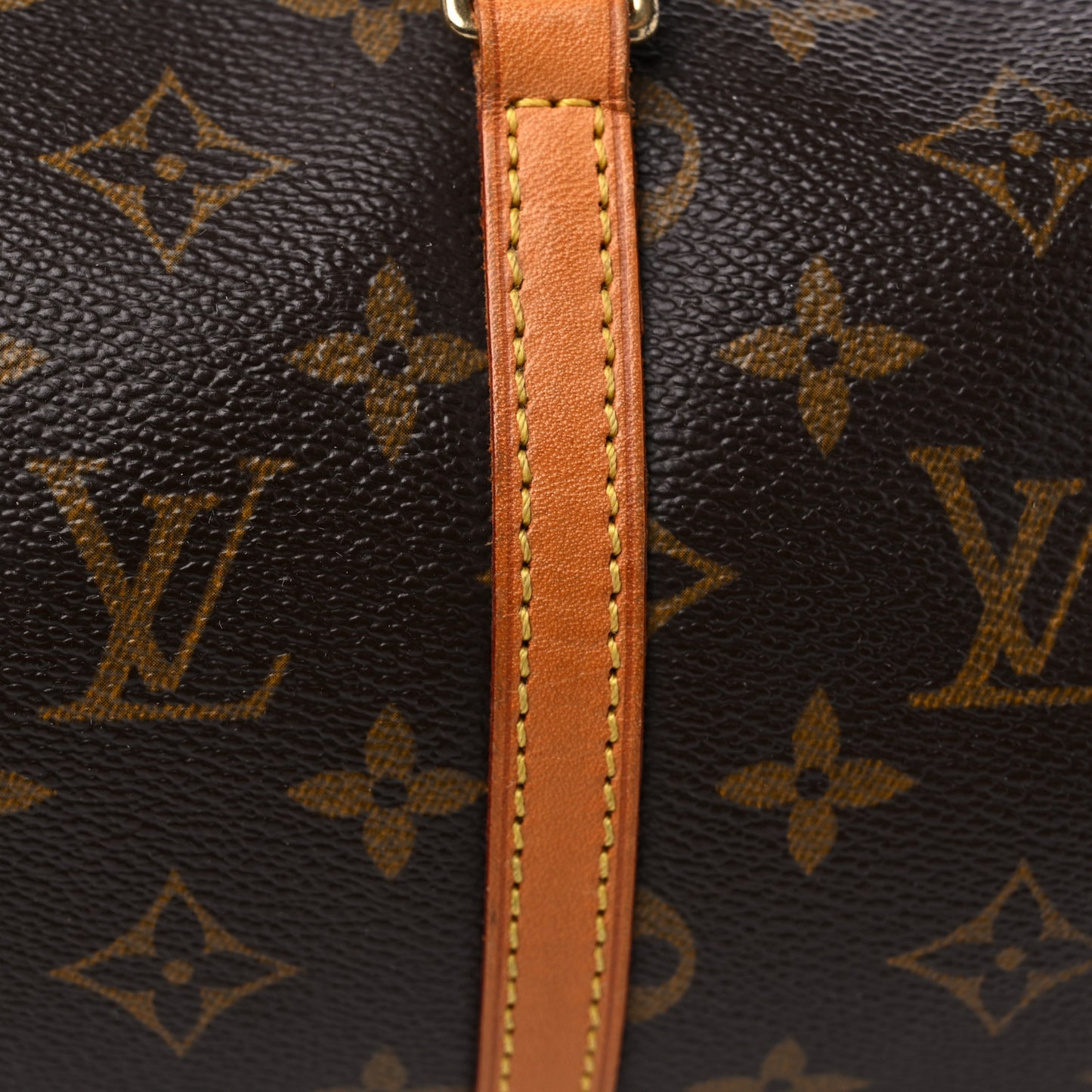 Monogram Papillon 30 with Companion