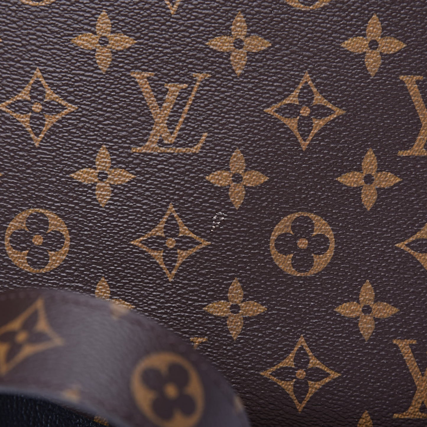 Monogram Tournelle PM Black