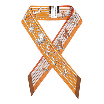 Hermes Silk Pani La Shar Pawnee Twilly Orange Mastic Brun 1 of 3