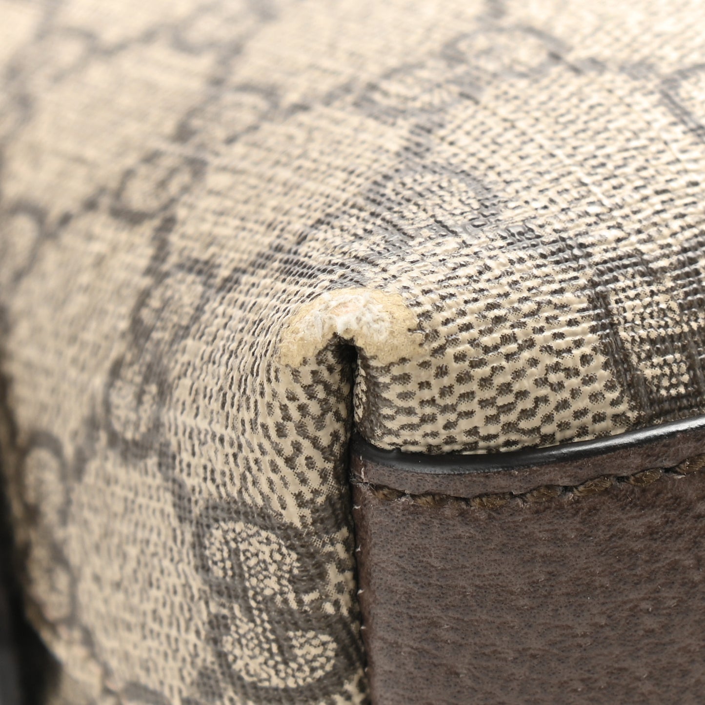 GG Supreme Monogram Textured Dollar Calfskin Web Small Ophidia Dome Shoulder Bag Beige Ebony New Acero