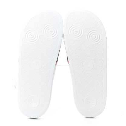 Gucci Canvas Sylvie Stripe Logo Pursuit Slide Sandals 39 Mystic White Hibiscus Red Maritime 6 of 10