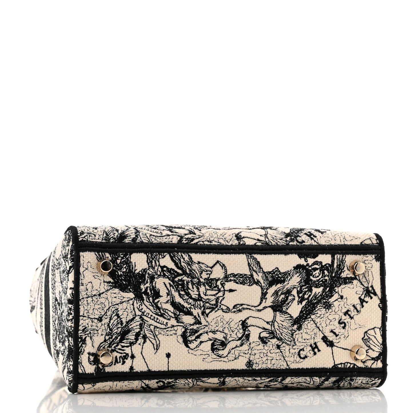 Canvas Embroidered Zodiac Toile De Jouy Medium Lady D-Lite Latte