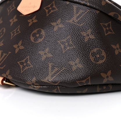 Louis Vuitton Monogram Bumbag 10 of 14