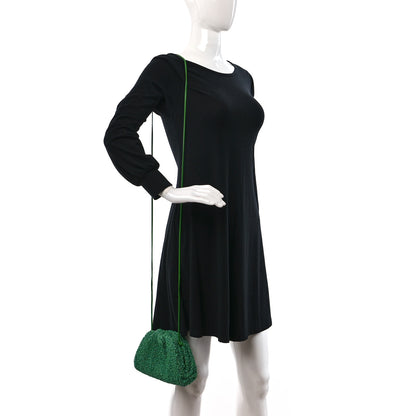 Bottega Veneta Boucle Curly Raffia The Mini Pouch Parakeet 2 of 11