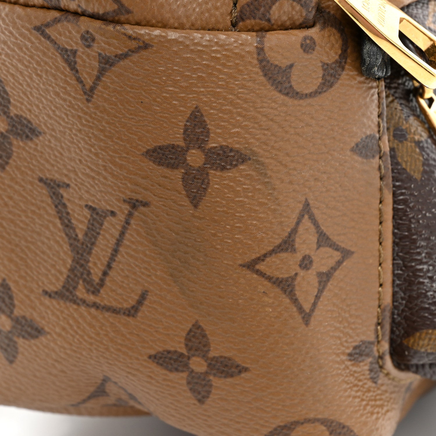 Louis Vuitton Reverse Monogram Palm Springs Backpack Mini 15 of 15