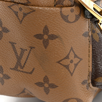 Louis Vuitton Reverse Monogram Palm Springs Backpack Mini 15 of 15