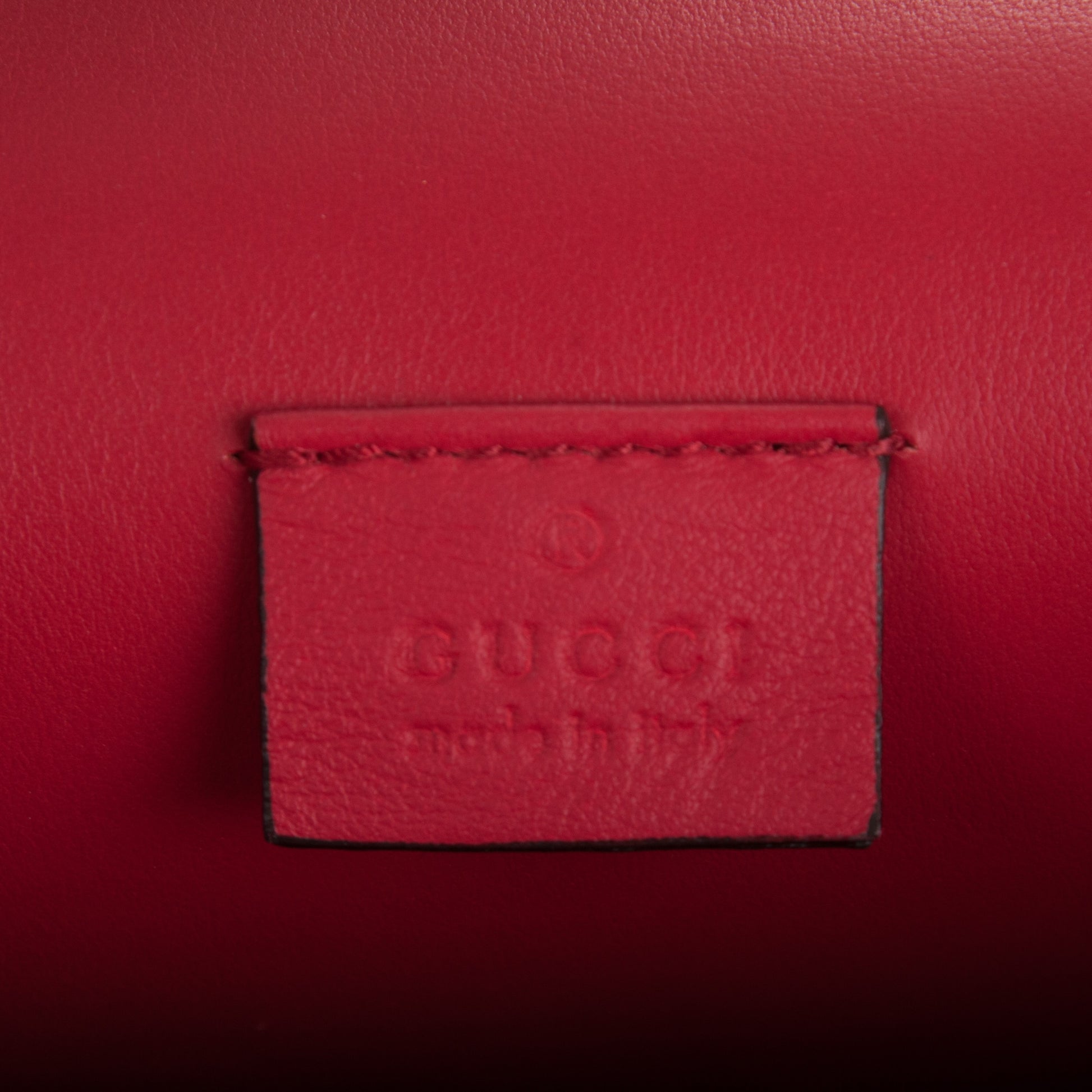 Gucci Suede Vitello Velvet Small Dionysus Shoulder Bag Vulcanic Red 7 of 8