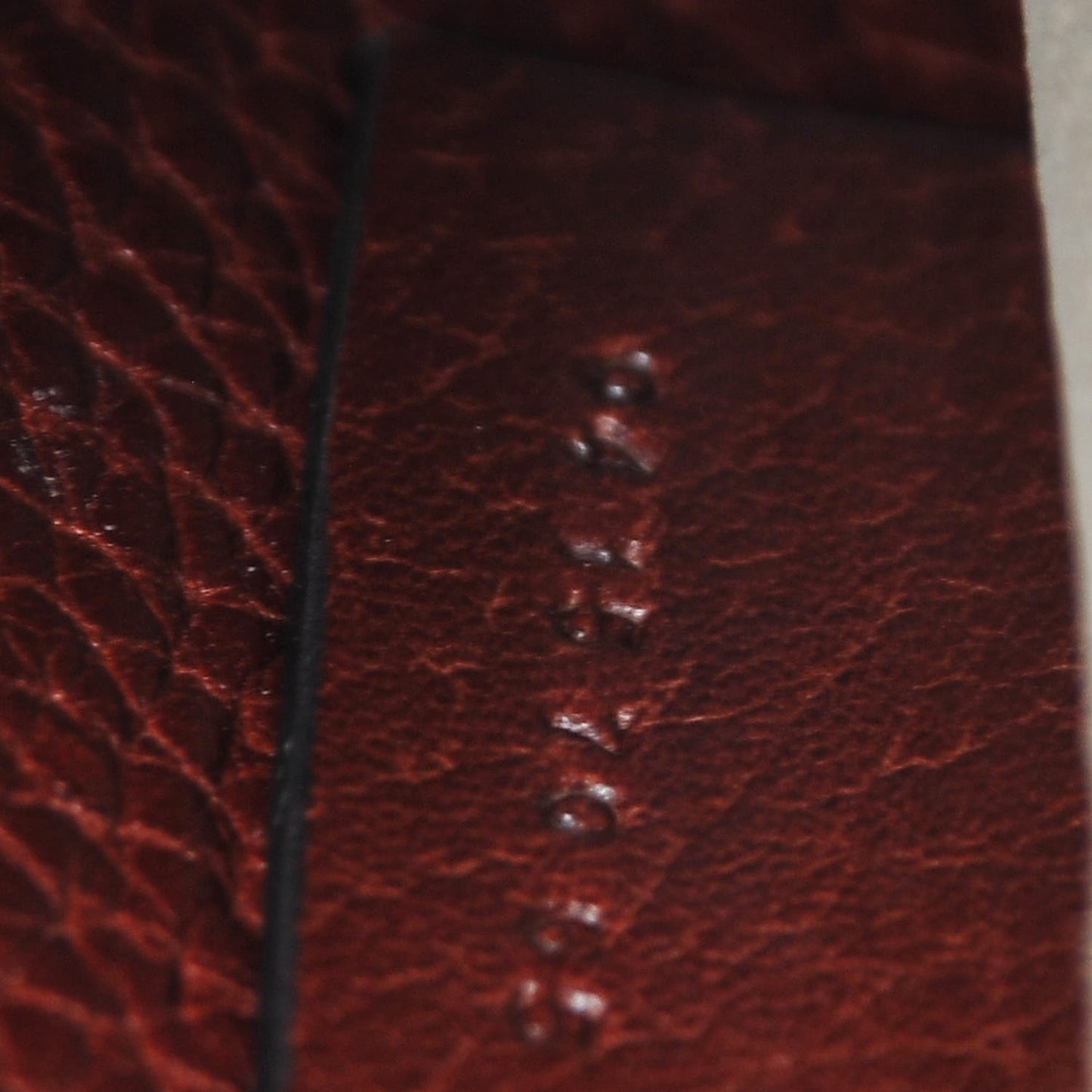 Grained Calfskin Small Hudson Tassel Shoulder Bag Sienna Red