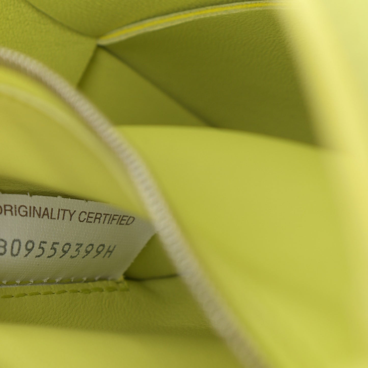 Nappa Maxi Intreccio Cassette Bag Seagrass