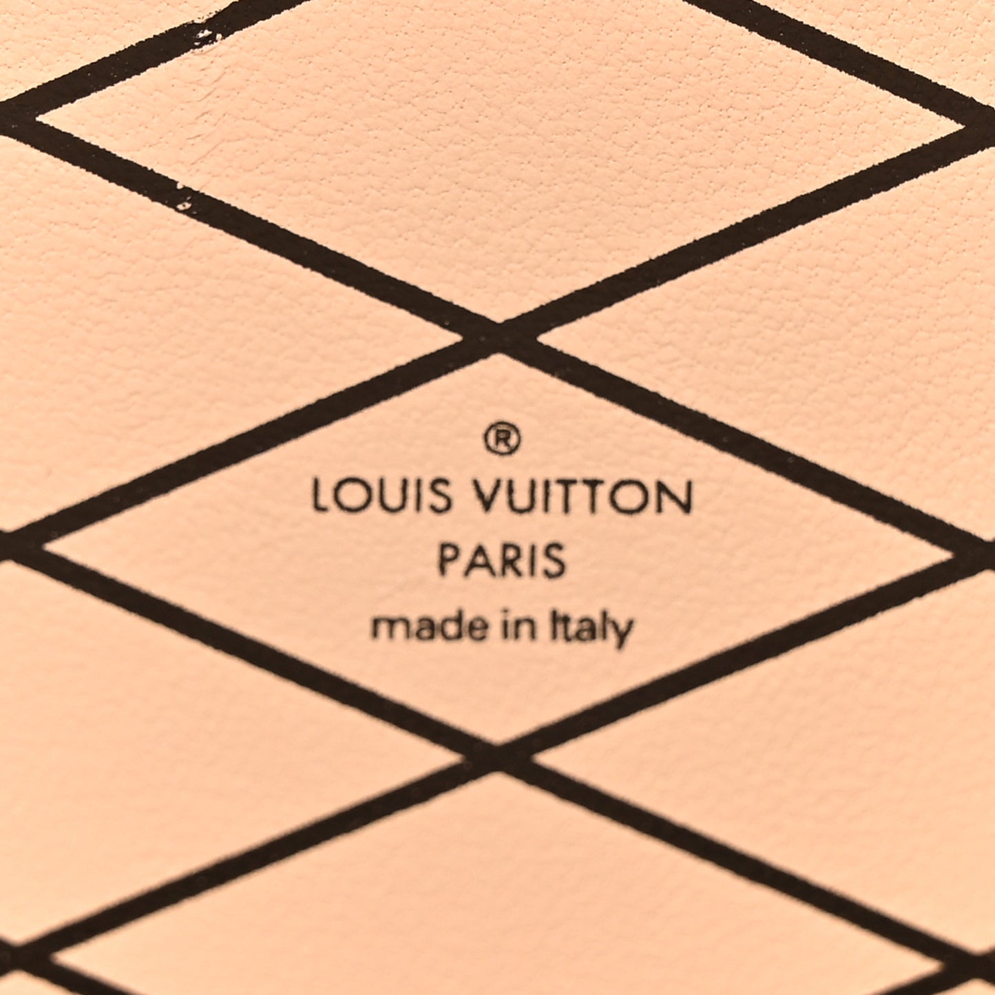 Canvas Calfskin Transformed Monogram Petite Malle