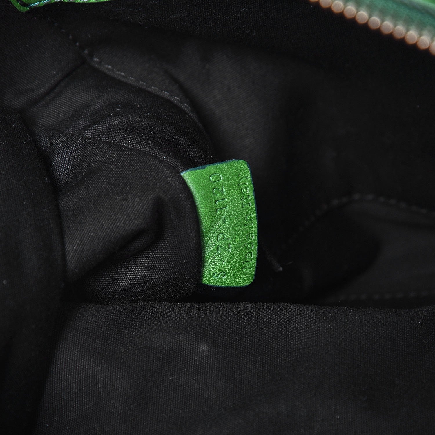 Celine Smooth Calfskin Nano Luggage Green 8 of 12