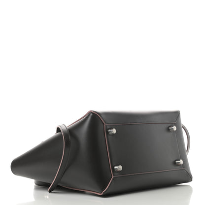 Celine Palmelato Calfskin Mini Belt Bag Espresso 4 of 17