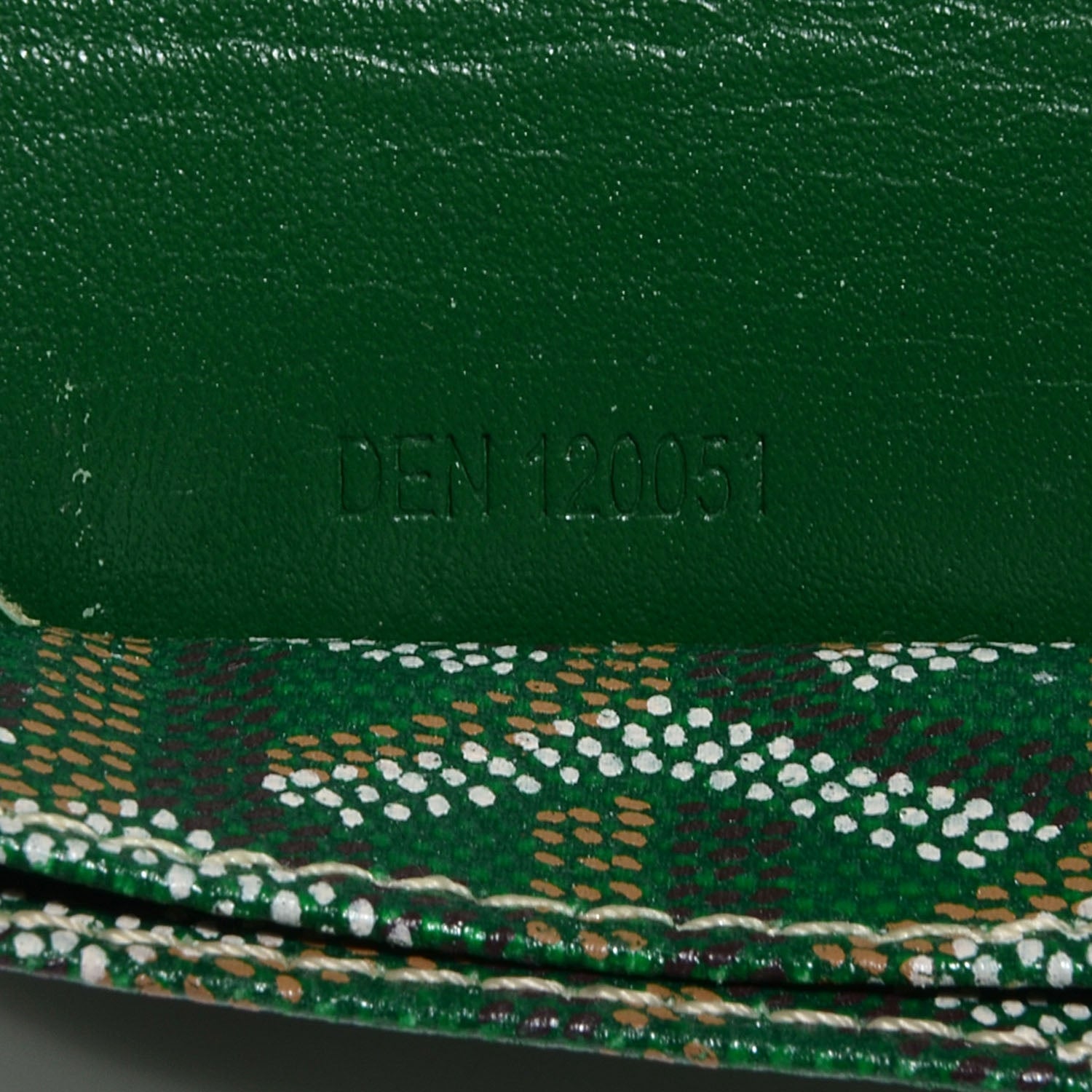 Goyard Goyardine Saint Louis PM Green 11 of 11